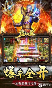 龙之力量忘忧攻速版游戏截图-3