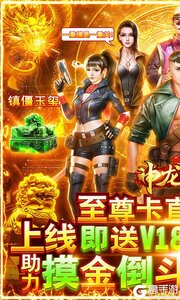 神龙宝藏可盘版游戏截图-0