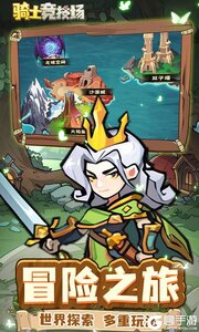 骑士竞技场游戏截图-3