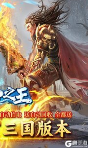 自由之光冰雪三国游戏截图-1