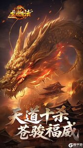 龙魂魔法游戏截图-2