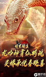 暗黑领主游戏截图-1