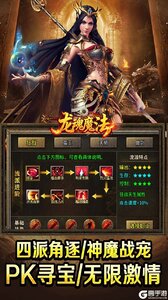 龙魂魔法游戏截图-2