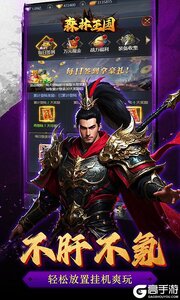 森林王国3733版游戏截图-4