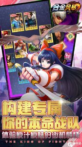 合金风暴游戏截图-4