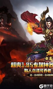 热血之怒游戏截图-0