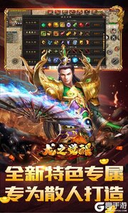 龙之觉醒游戏截图-4