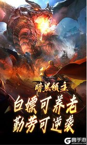 暗黑领主游戏截图-4