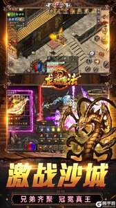 龙魂魔法游戏截图-4