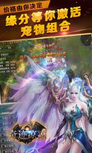 奇迹凉凉游戏截图-4