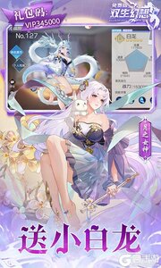 双生幻想游戏截图-3