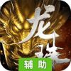 龙珠传奇之无间道辅助工具