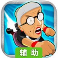愤怒的老奶奶2辅助工具