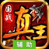 真王H5辅助工具