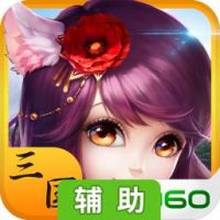 三国大乐斗辅助工具