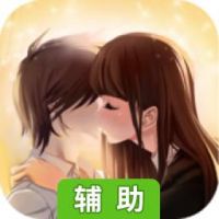 宛如天堂辅助工具