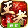 王者圣域辅助工具