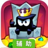 盗者之王辅助工具