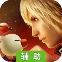 最终幻想：觉醒辅助工具