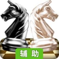 国际象棋大师辅助工具