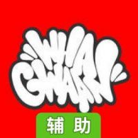 混沌枪手辅助工具