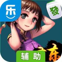 广东麻将辅助工具
