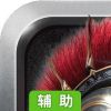 皇家骑士团辅助工具