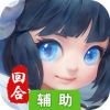 永恒诸神辅助工具