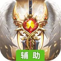 神域天堂2觉醒辅助工具