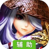 武道轮回辅助工具