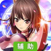 龙心战纪辅助工具
