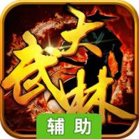 大武林辅助工具