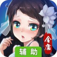 杨过与小龙女（加强版）辅助工具