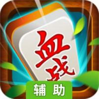 一起打麻将辅助工具