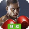 拳击之王辅助工具