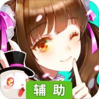 天阶岛辅助工具