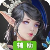 失落的神域辅助工具