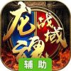 武之影魅-龙魂战域辅助工具