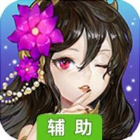 真三少女辅助工具