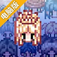 大生子王国电脑版
