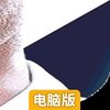 球场风云电脑版