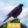 千山飞鸟（破解版）电脑版