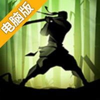 暗影格斗2电脑版