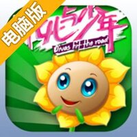 花儿与少年电脑版