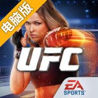 终极格斗锦标赛电脑版