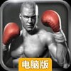 真实拳击电脑版