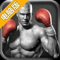 真实拳击电脑版
