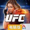 终极格斗锦标赛电脑版