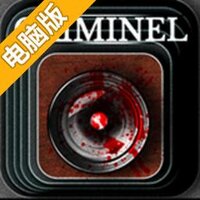 罪案电脑版