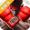 疾风街头电脑版
